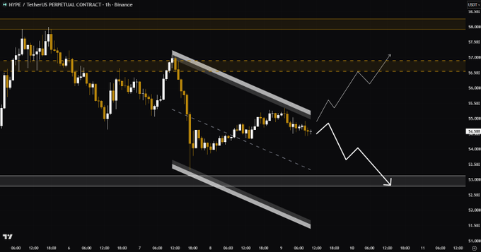A candlestick chart of the HYPE/USDT perpetual contract on Binance displays price action in a descending channel on the 1-hour timeframe, with white arrows projecting two possible paths—one targeting a liquidity pool near $53-$53.30 below, and another pointing toward a reclaim of $55.5-$56 resistance. Key levels visible include horizontal zones around $57, $55, and $53, highlighting the critical decision area noted in the analysis.