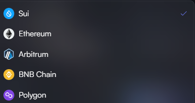 A network selection menu displays the blockchains Sui, Ethereum, Arbitrum, BNB Chain, and Polygon, with Sui currently selected. This visually represents the multiple chains from which $USDT and $USDC deposits are now supported on WaterX.