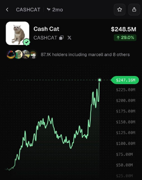 The image shows a 2-month price chart for the memecoin CASHCAT (Cash Cat) on what appears to be DexScreener, displaying a market cap of $248.5M with a 29.0% gain and a recent all-time high of $247.1M, with 67.1K holders. The chart's sharp upward spike with the "did Pumpfun choose a side?" caption humorously suggests that Pumpfun (a Solana memecoin launchpad) may be behind or favoring CASHCAT's dramatic price surge.