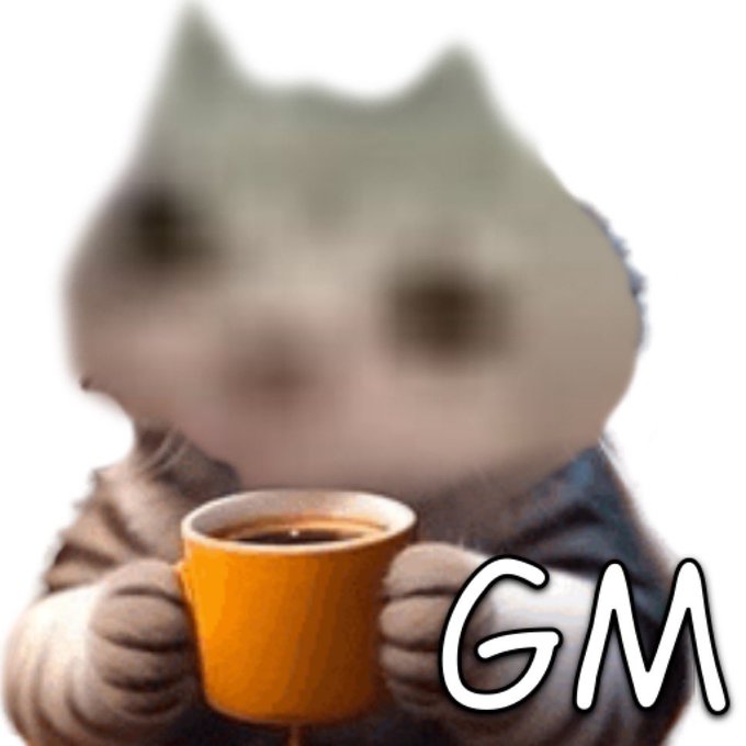 A blurry image of a sad-looking kitten bundled in a scarf holding an orange coffee mug, with the letters "GM" (good morning) overlaid in the bottom right corner.