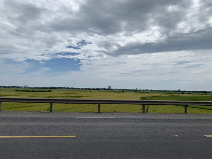 A view from a moving vehicle showing a highway guardrail, green rice fields stretching to the horizon, and a cloudy sky.