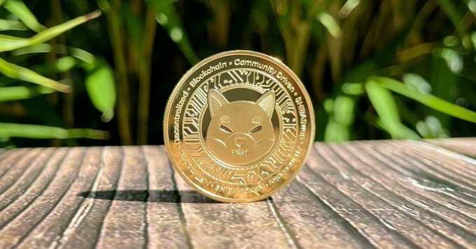 A golden Shiba Inu-themed cryptocurrency coin stands upright on a wooden surface with green plants blurred in the background, featuring inscribed words including "Community Driven," "Decentralization," and "Blockchain."