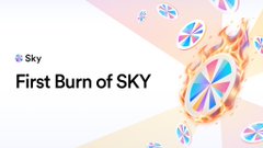 A promotional graphic reading 'Sky First Burn of $SKY' showing burning pinwheel icons on a light background.