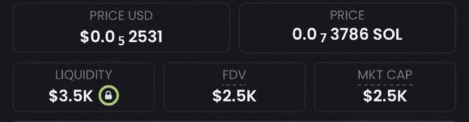 A screenshot of a crypto token's market stats displays a price of $0.0₅2531 USD (0.0₇3786 SOL), with $3.5K locked liquidity, and both FDV and market cap at just $2.5K, highlighting the extremely low valuation that fuels the poster's claim of having found the "next 1000x" gem.