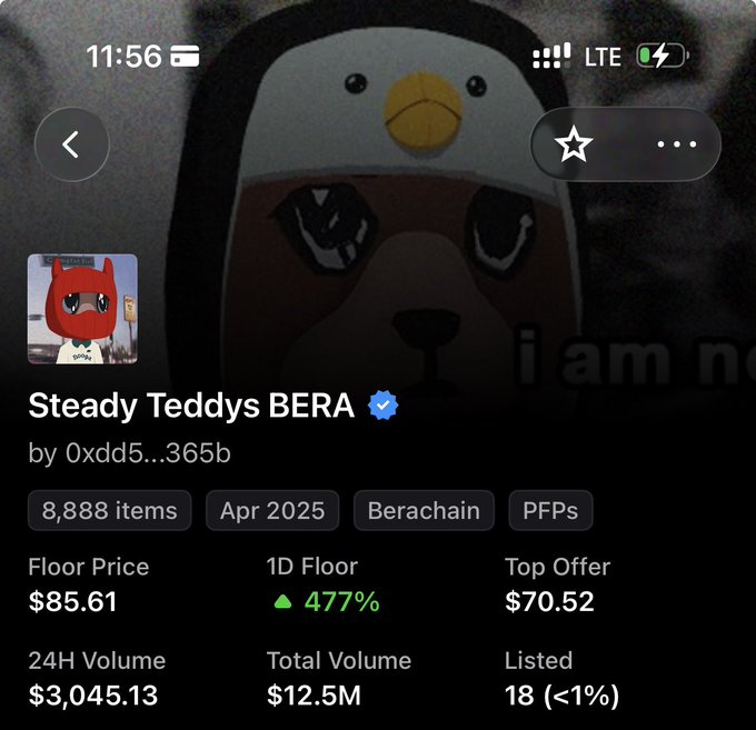 A mobile screenshot showing an NFT collection page titled 'Steady Teddys BERA' with 8,888 items, displaying a Floor Price of $85.61 and 24H Volume of $3,045.13.