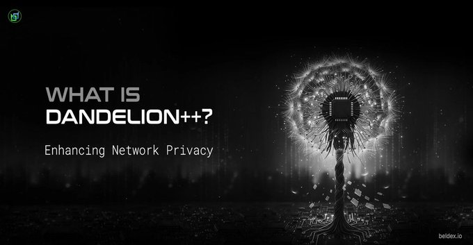 A black and white promotional graphic with the text 'WHAT IS DANDELION++? Enhancing Network Privacy' next to a stylized dandelion incorporating a microchip design, branded with 'beldex.io' in the corner.