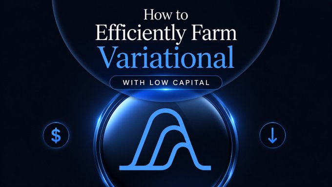 The image features a blue logo with three swirls beneath it, accompanied by the text "efficiently farm @variational" above and below the logo. Below this, there are two dollar signs, one of which reads "$100". Below the dollar signs, there is another text that reads "with low capital". This combination suggests that the image is promoting a business or idea related to farming, specifically about utilizing limited resources efficiently for maximum gains.