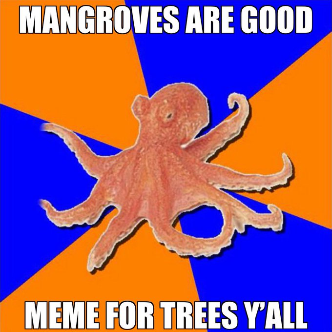 A meme image with an orange octopus on a blue and orange sunburst background, reading 'MANGROVES ARE GOOD MEME FOR TREES Y'ALL'.