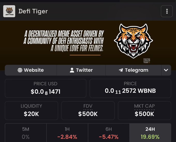 The image displays a cryptocurrency tracker page for "Defi Tiger" ($DTG) on what appears to be a DEX aggregator, showing a current price of $0.0₈1471 (0.0₁₁2572 WBNB), a market cap of $500K, and a notable 19.69% gain over 24 hours alongside declines of -2.84% (1H) and -5.47% (6H). The promotional banner describes $DTG as a "decentralized meme asset driven by a community of DeFi enthusiasts with a unique love for felines," with quick links to its Website, Twitter, and Telegram. This supports the accompanying post, which highlights the token's accumulation pattern as a bullish signal reminiscent of last year's run to a 6M market cap, urging holders to stay positioned for an anticipated rally.