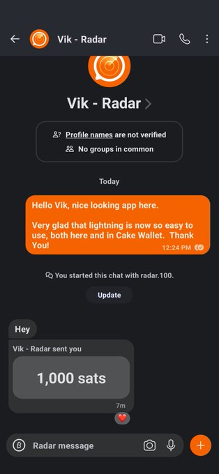 A chat interface titled 'Vik - Radar' showing a message thanking for easy Lightning usage and a 1,000 sat payment received.