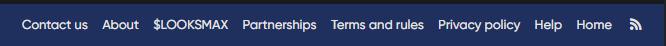 A blurry blue footer menu with white text displaying navigation links: Contact us, About, SLCOINSMAX, Partnerships, Terms and rules, Privacy policy, Help, Home.