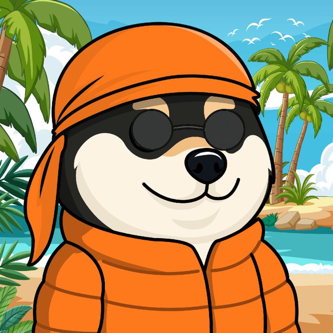 A cartoon illustration of a cute dog dressed in an orange ninja-style outfit with a headband, dark sunglasses, and puffy jacket, set against a tropical beach background with palm trees.