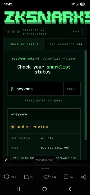 Screenshot of the ZKSNARKS registry status check page showing the handle '@heyvaro' is 'under review' with the application on file and pass not yet assigned.