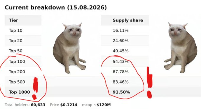 The image shows a "Current breakdown (15.08.2026)" chart for $CASHCAT displaying supply share concentration by tier, with red circles highlighting that the Top 500 hold 83.46% and Top 1000 hold 91.50% of supply, visually supporting the post's argument that despite wallet count growth to 60,633 holders, the same concentrated group of top wallets still controls the vast majority of tokens at a $120M market cap.