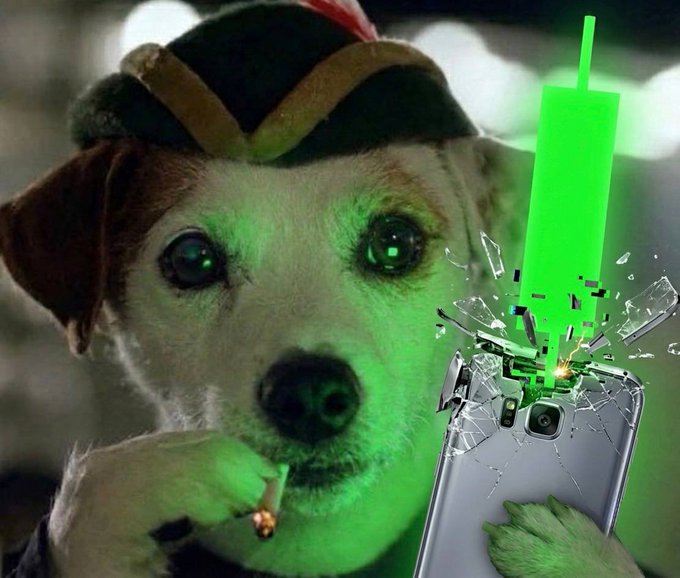A meme-style image of a dog wearing a hat, smoking, and holding a smartphone with a green candlestick chart exploding out of the cracked screen.