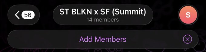 A group chat interface showing a group named 'ST BLKN x SF (Summit)' with 14 members, displaying an 'Add Members' button.
