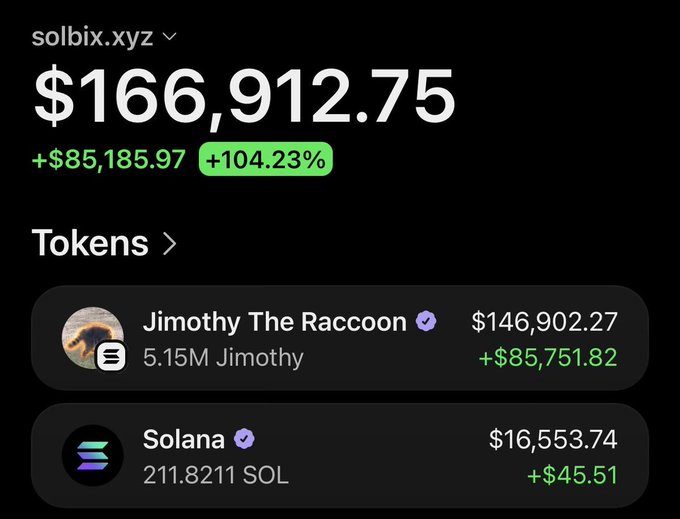 A screenshot of the Solbix.xyz portfolio tracker showing a wallet with a total value of $166,912.75 (+104.23%), primarily driven by holdings in $Jimothy The Raccoon (5.15M tokens) valued at $146,902.27, illustrating the post's claim of massive profit from an early $JIMOTHY purchase.