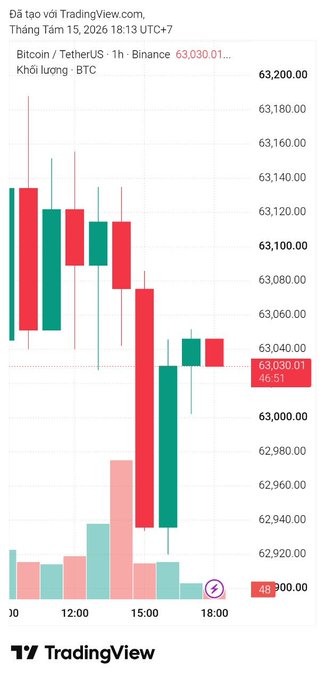 A TradingView 1-hour Bitcoin/TetherUS chart showing a downward trend with prices falling to around 63,030.01 on Binance, timestamped August 15, 2026.