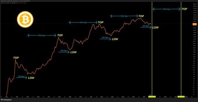 A Bitcoin (BTC) chart on TradingView displays price peaks labeled "TOP" with "1005 days" and "1024 days" arrows pointing forward to subsequent "TOPs," as well as "365 days" arrows linking each "TOP" to a subsequent "LOW," illustrating a recurring cycle pattern used to time buying at lows and selling at highs.