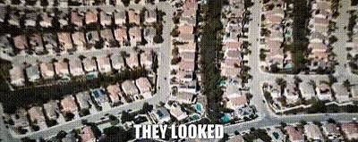 An aerial satellite image showing rows of suburban houses and parked cars, with the text "THEY LOOKED" overlaid at the bottom. The post connects metaphorically, suggesting that while most overlook the potential of @variational_io, this aerial perspective represents taking the extra step to "look where others do not."