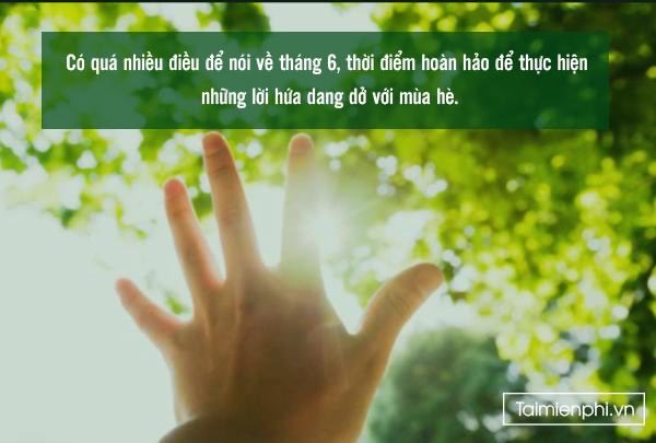The image features a hand reaching towards the sun, with the sunlight shining through the trees behind it. Below this scene, there's a green text box containing Vietnamese writing that reads "Co Qua nhà dùng hện 6 nhiều viên và thúc nhiều mái nhé có tháng 6 húp thật nhiều kèo to nhé có tháng 6 húp thật nhiều không và thúc nhiều mái nhé có tháng 6 húp thật nhiều không". The image is accompanied by a green watermark that reads "TheARCTERMINAL @quipnetwork @TheARCTERMINAL @RiverdotInc".