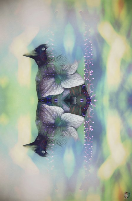 A mirrored, surreal digital artwork showing two black birds facing outward with white flowers and purple wisteria hanging in the center.