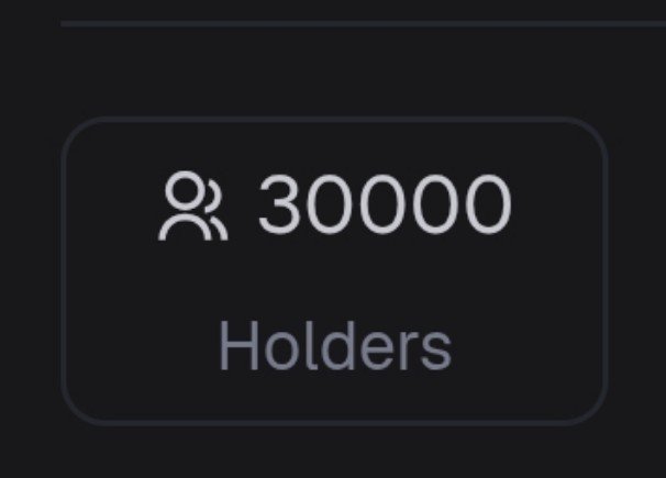 A dark UI element displaying '30000 Holders' next to a person icon, indicating token holder count.