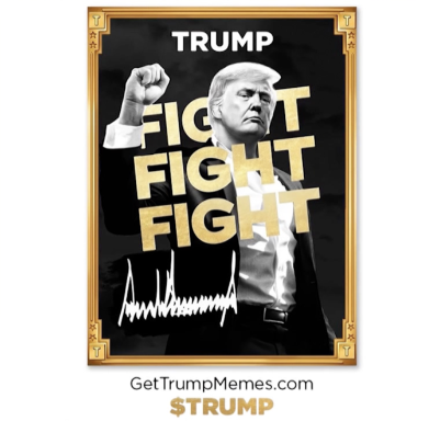 A 'GetTrumpMemes.com' poster showing Donald Trump with his fist raised, overlaid with the text 'TRUMP FIGHT FIGHT FIGHT' and a stylized signature.