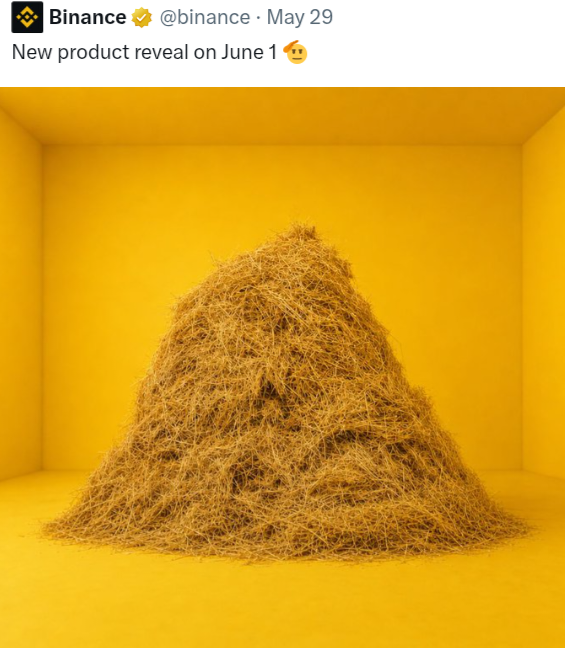 The image features a large pile of hay, possibly straw or dried grass, sitting atop a yellow wall. The text "Yield Farming for $BNB hodlers?" appears below the hay stack, suggesting that this might be related to a product or service offered by Binance Coin.