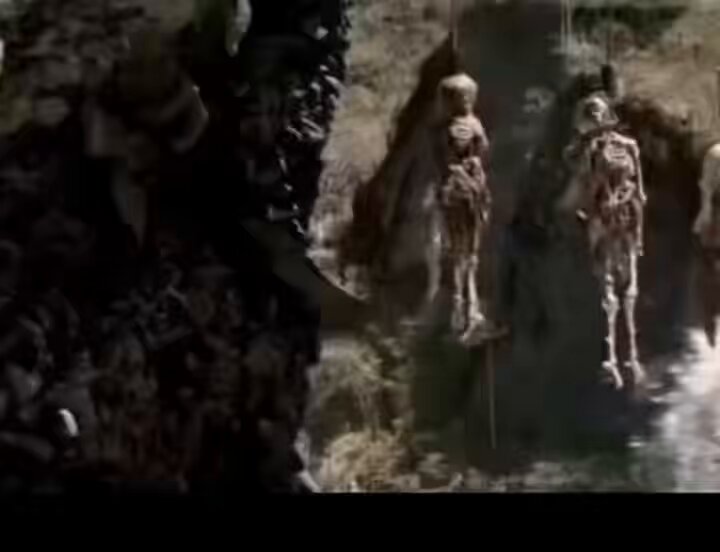 In the image, there are two skulls hanging from trees in a forested area with several other skulls also visible. The skulls appear to be fossilized or dead, adding an element of mystery to the scene. On top of one of the tree trunks, there is a plaque, and next to it, another tree trunk has some skulls hanging on it as well. In the background, a person can be seen walking, and they are carrying something in their hand that appears to be related to the skulls displayed in this area. The photo also contains text which states "saluting the bros who took your advice and fomo Bitcoin at $123K last year".