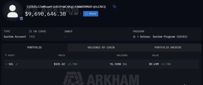 A screenshot from the Arkham platform displaying a wallet holding 95.928K SOL valued at approximately $9.69M.