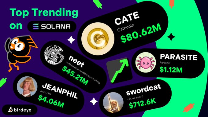 A Birdeye infographic titled 'Top Trending on SOLANA' featuring meme coins including CATE ($80.62M), neet ($45.21M), PARASITE ($1.12M), JEANPHIL ($4.06M), and swordcat ($712.6K).