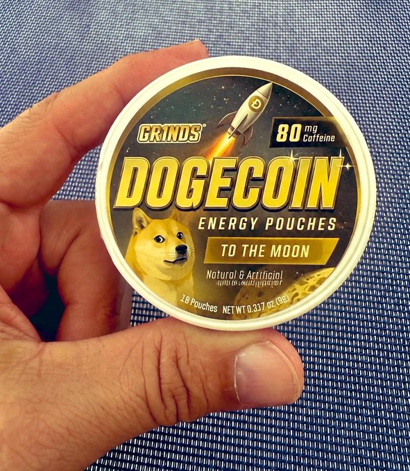 A hand holding a round container of 'GRINDS DOGECOIN ENERGY POUCHES' labeled 'TO THE MOON', '80mg Caffeine', 'Natural & Artificial', containing 18 pouches.