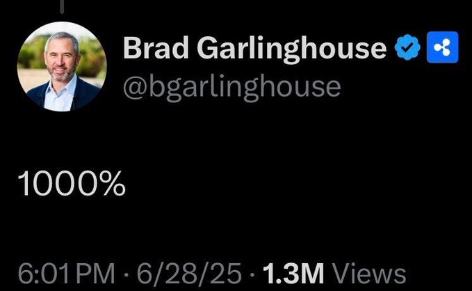 The image shows a black background with a white text box containing information about a person named Brad Garlinghouse, who has 100% views of his Twitter account. The text box also mentions that he has 1,3m views.