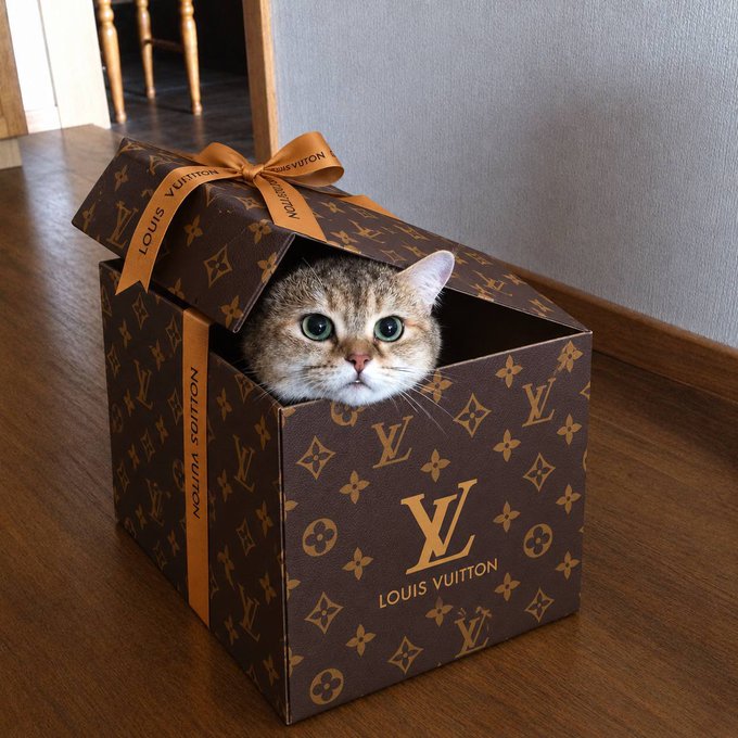 An adorable tabby cat peeking out from inside a brown Louis Vuitton monogram gift box tied with an orange ribbon.