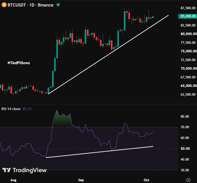 A TradingView BTCUSD daily chart from Binance shows Bitcoin priced at $85,208 with an uptrend support line beneath the price action, paired with an RSI 14 reading of 65.11 that also maintains its own ascending trendline—both technical structures supporting the claim that Bitcoin's rally will continue until either trendline breaks.