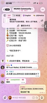 A screenshot of a chat application titled "NUMA Community" in Chinese, showing a group chat with various messages and member counts like "100 NUMA".