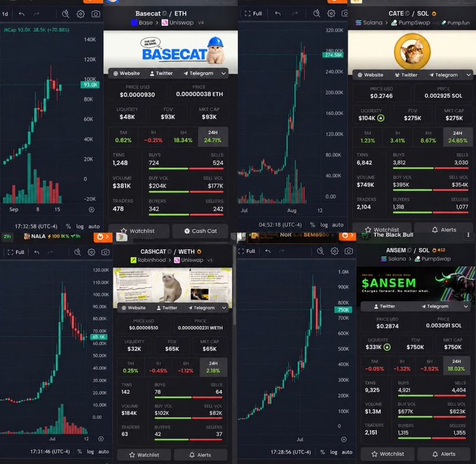 The image displays a trading interface showing four cryptocurrency charts with key metrics: Basecat ($)/ETH at $0.0000930 with a $93K market cap, Cate ($)/SOL at $0.2746 with a $275K market cap, Cashcat ($)/WETH at $0.00006310 with a $65K market cap, and Ansem ($)/SOL at $0.2874 with a $750K market cap. This directly supports the poster's claim of holding all four tokens mentioned—$CATE, $BASECAT, $ANSEM, and $CASHCAT—by displaying their live price charts and market data as visual proof of their portfolio.