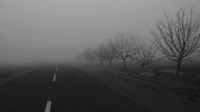 A black and white image of a foggy road lined with bare trees, creating a moody, atmospheric scene.