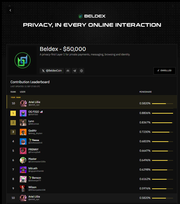 A screenshot of a Beldex cryptocurrency leaderboard page showing 'PRIVACY, IN EVERY ONLINE INTERACTION' and a contribution leaderboard with users like Ariel Lillie, OG FIGO, Lynn, God4ir, and Nessa ranked by MinoShare percentages.
