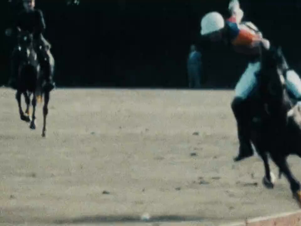 The image shows a group of people riding horses, with one person falling off their horse while another rider tries to catch them. The scene takes place outdoors, possibly at an equestrian event or competition. There are two main horses visible - one on the left side and another on the right side of the frame. A third horse can be seen in the background, but it is not as prominent as the other two.

The image also includes a caption that reads "Old money is most known and chased type of money of all time, Men want to be wealthy like old money, Women chase men that give old money". This phrase seems unrelated to the main scene, which focuses on horseback riding activities rather than discussing the value or history of money.