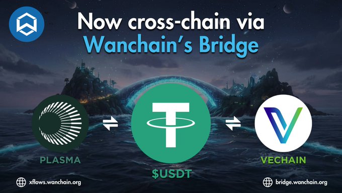 A promotional graphic announcing cross-chain bridging via Wanchain's Bridge between Plasma and VeChain using $USDT, with links to xflows.wanchain.org and bridge.wanchain.org.