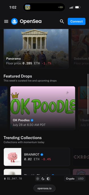 A mobile screenshot of the OpenSea NFT marketplace homepage displaying 'Panorama' and 'OK Poodles' featured drops, 'BRAINROT' trending collection, with ETH pricing visible.