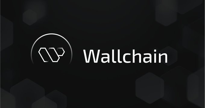 The image features a logo for a company called @wallchain. The logo consists of a circle with a white "W" inside, surrounded by black hexagons. The text "Wallchain" is written below the logo. The background of the image is black and filled with small white hexagons.