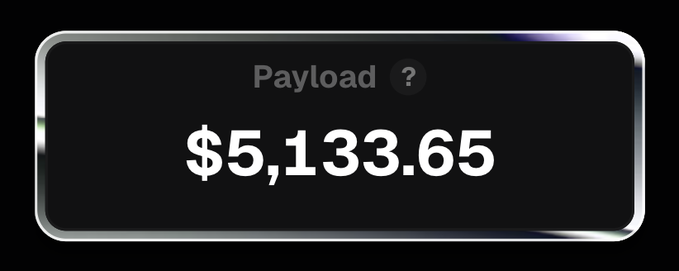 A dark digital display panel showing the text 'Payload ?' and the value '$5,133.65'.