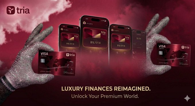The image features a person holding up five red Visa credit cards against a pink background. The text "gTria CT There' s a gap between where crypto is and where it needs to be for regular people to actually use it" suggests that the cards are not yet accessible or user-friendly, as they require users to manage their own wallets and bridges manually. The post also mentions that most of this gap is due to infrastructure, which implies that there might be a need for more user-friendly solutions in the future.