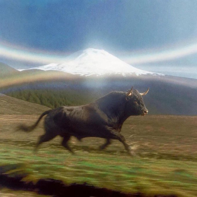 A black bull charges across a grassy field with a snow-capped mountain and rainbow halo in the background, symbolizing unstoppable momentum and bullish determination—mirroring the post's message about pushing forward relentlessly in the GM and $ANSEM markets.