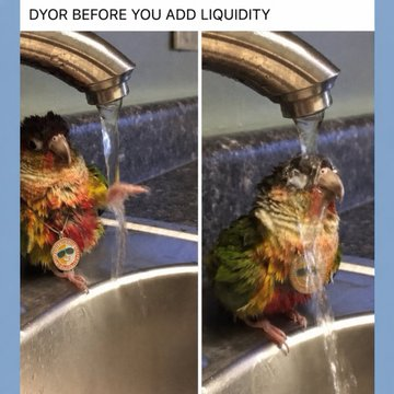 A side-by-side comparison shows a colorful green-cheeked conure standing on the edge of a kitchen sink, with water running over it both before and after it gets wet, captioned "DYOR BEFORE YOU ADD LIQUIDITY."

The image humorously illustrates the post's theme by using the soaked, disheveled bird as a visual metaphor for the risks of adding liquidity without proper research ("DYOR" = Do Your Own Research), reinforcing the caution against blindly participating in on-chain market-making without understanding the underlying algorithm.