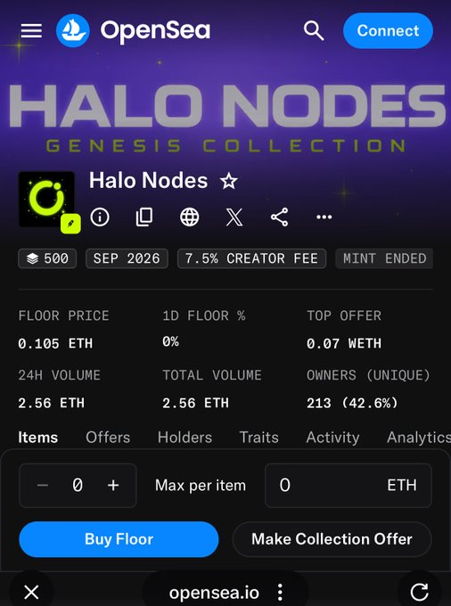 The image shows an OpenSea page for the "Halo Nodes Genesis Collection" NFT, with a floor price of 0.105 ETH, 500 items, and 213 unique owners (42.6%). The post highlights that max minting yielded approximately 0.15 ETH, which exceeds the current floor price of 0.105 ETH, suggesting a decent return relative to the listing price.