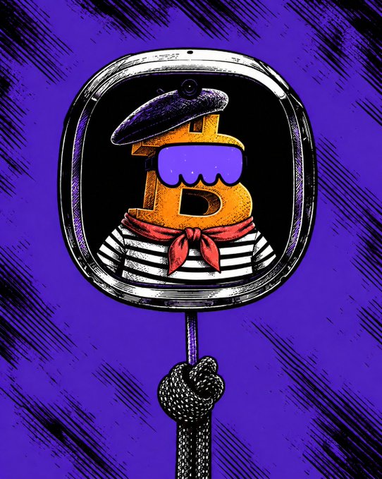 A stylized illustration shows the Bitcoin "₿" logo dressed as a French sailor—wearing a blue beret, sunglasses, and a striped shirt with a red neckerchief—displayed on a screen in a hand mirror, fitting the post's caption "fixed."